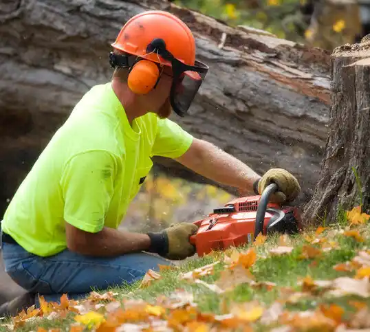 tree services Caroga Lake